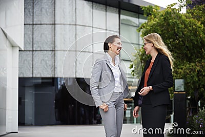 Businesswoman Corporate Colleagues Talking Concept Stock Photo