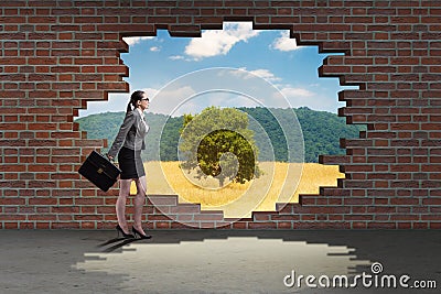 The businesswoman escaping for summer vacation Stock Photo