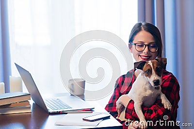 Businesswoman at home interior with dog Stock Photo