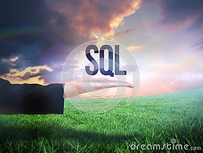 Businesswomans hand presenting the word sql Stock Photo