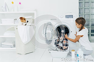 Busy child does laundry work, empties washing machine, cleaned clothes in basin uses detergents, little pedigree dog in basket. Stock Photo