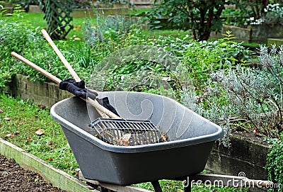 Busy in the Garden Stock Photo