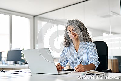 Busy mature business woman working in office using laptop writing notes. Stock Photo