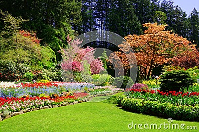 Butchart Gardens, Victoria, Canada, vibrant spring colors Stock Photo