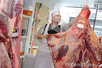 Butcher with animal carcass Stock Photo