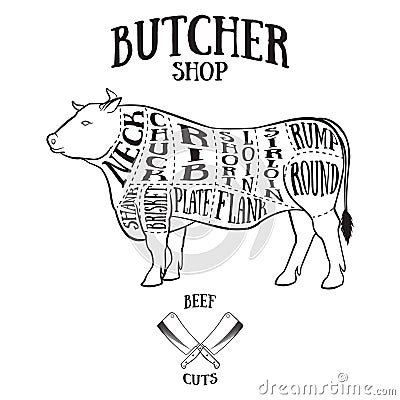 Butcher cuts scheme of beef Vector Illustration