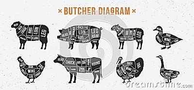 Butcher diagram, scheme set. Vector Illustration