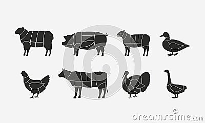 Butcher diagram templates set. Vector Illustration