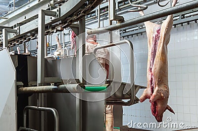Butcher in meat industry interior Stock Photo