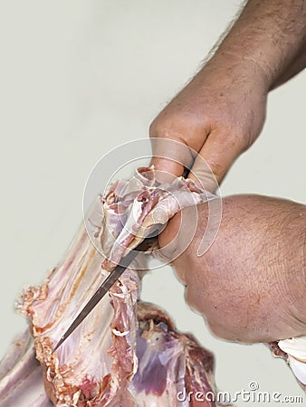 butcher's hands cutting pork meat, Closeup of ribs being cut in butcher kitchen Stock Photo