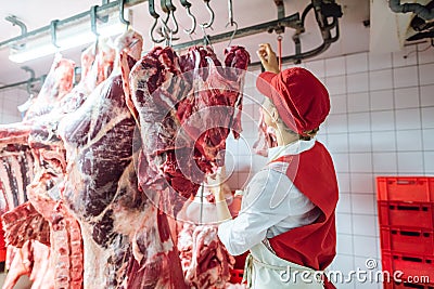 Butcher woman inspecting piece of meat to processed Stock Photo