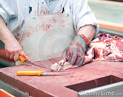 Butcher works in a slaughterhouse and cuts freshly slaughtered m Stock Photo