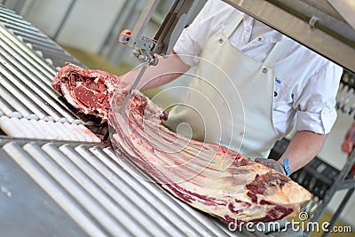 Butcher works in a slaughterhouse and saws ribs of beef for sale Stock Photo