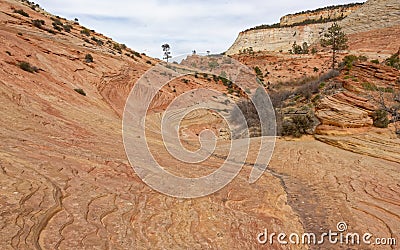 Butte in Zion National Park, Utah Stock Photo