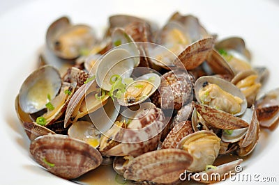 Butter clams Stock Photo