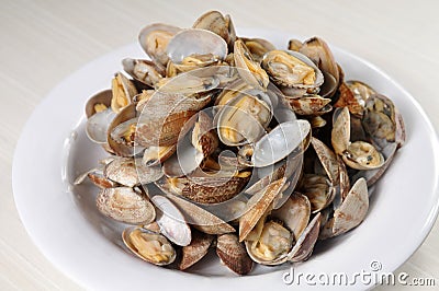 Butter clams Stock Photo