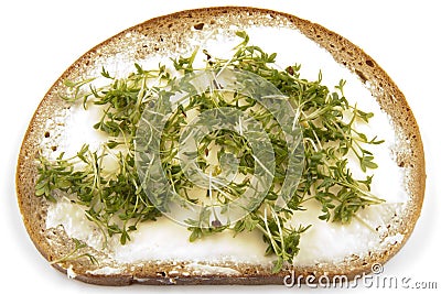 Buttered Bread With Cress Stock Photo