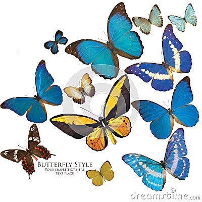 Butterflies Stock Photo