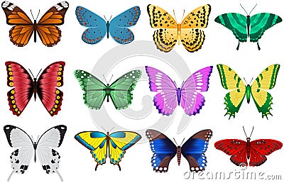 Butterflies Stock Photo