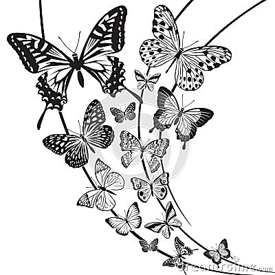 Butterflies design Vector Illustration