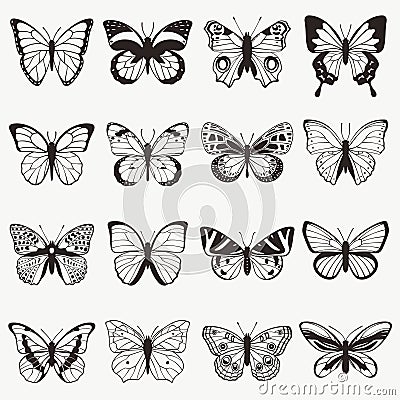 Butterflies Vector Illustration