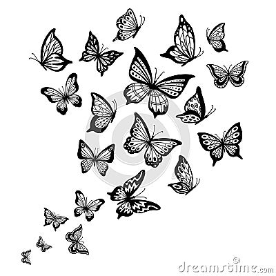 Butterflies flow. Butterfly wing, spring flying insect and flight wave vector background illustration Vector Illustration