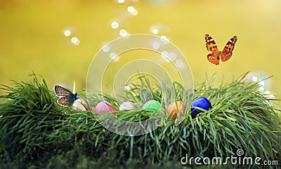 Butterflies flutter on festive Easter background with multicolored eggs in green grass in Sunny clear spring day Stock Photo