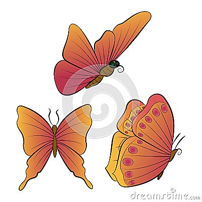 The butterflies with orange wings. Beautiful nature summer. Vector Illustration