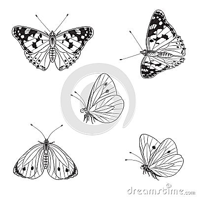 Butterflies Set in Vector Monochrome Line Graphic Vector Illustration