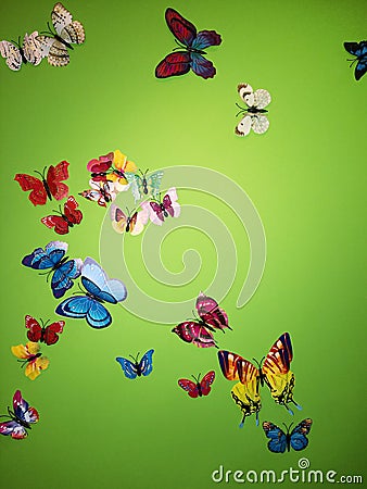 Butterflies on the wall green background colors Stock Photo
