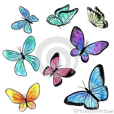 Butterflies clipart, Watercolor illustrations bundle Cartoon Illustration