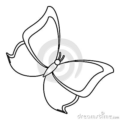 Butterfly animal insect fly thin line Vector Illustration