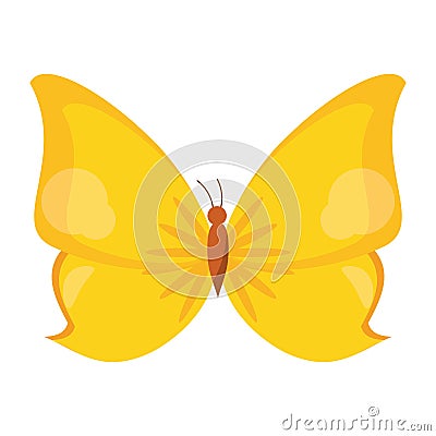 butterfly animal insect fly Vector Illustration