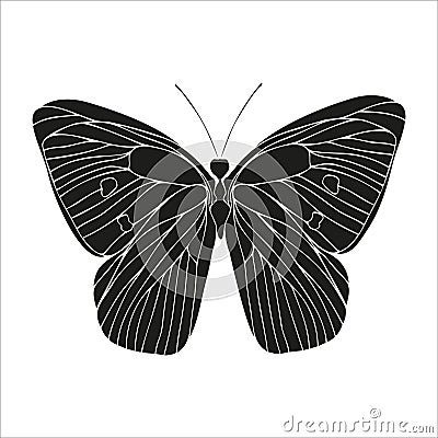 Butterfly black silhouette art illustration. Insect butterfly for stickers, tattoo, silhouette, scrapbook. Winged Vector Illustration