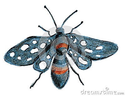 The butterfly is blue-black with white spots on its wings. Sketch with colored pencils from hand. Raster image Stock Photo