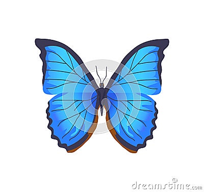 Butterfly of Blue Color Poster Vector Illustration Vector Illustration