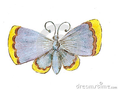 The butterfly is blue with the yellow ends of the wings. Sketch with colored pencils from hand. Raster image Stock Photo