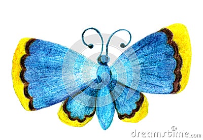 The butterfly is blue with the yellow ends of the wings. Sketch with colored pencils from hand. Raster image Stock Photo