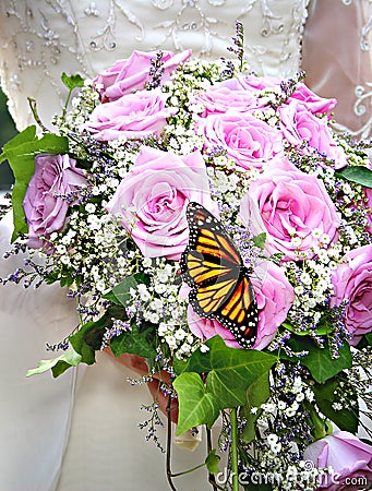 Butterfly Bouquet Stock Photo