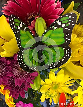 Butterfly bouquet Stock Photo