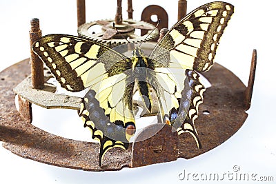 Butterfly on clock mechanism Stock Photo