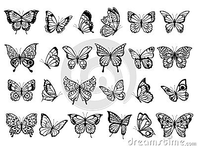 Butterfly collection. Beautiful nature flying insect drawing, exotic black butterflies with funny wings vector pictures Vector Illustration