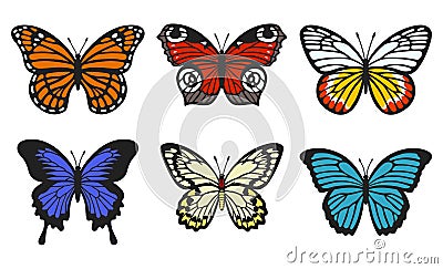 Butterfly collection. Realistic butterflies with textured wings. Monarch, peacock eye Stock Photo