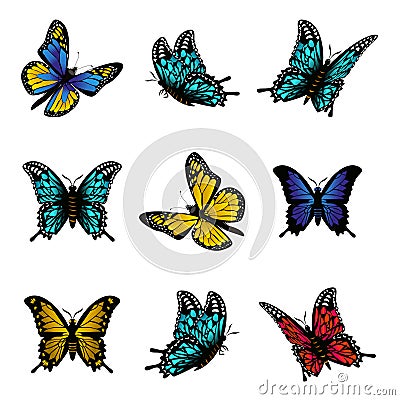 Butterfly of colorful icon set vector illustration. Vector Illustration