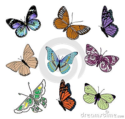 Butterfly Decorative Insect Icons Illustration. Elegance Cute Vintage Butterflies Art Vector Illustration