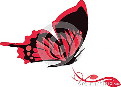 Butterfly Design Vector Illustration