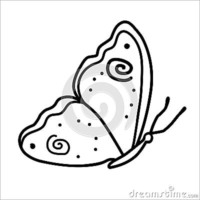 Butterfly doodle vector illustration isolated on white Vector Illustration