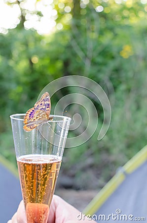 Butterfly Drinking Sparkling Wine Vertical Stock Photo