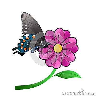 Butterfly and flower Vector Illustration