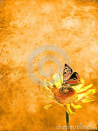 Butterfly and flower paper Stock Photo